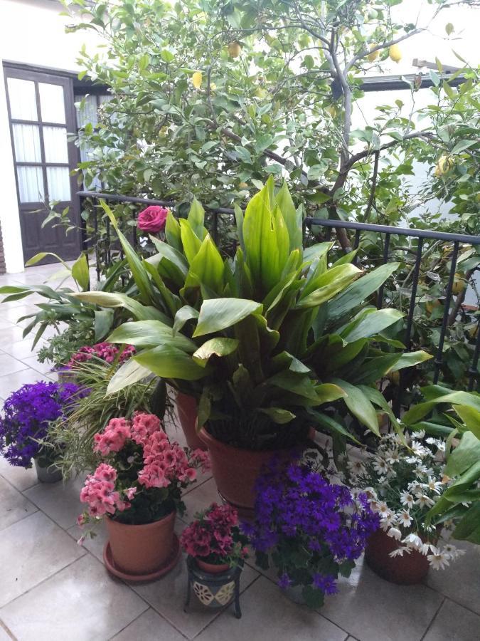 Bed and Breakfast El Patio Andalu Ardales Exterior foto