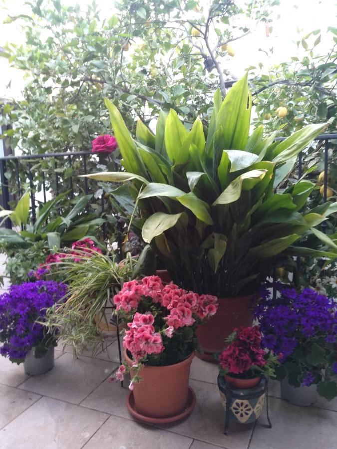 Bed and Breakfast El Patio Andalu Ardales Exterior foto